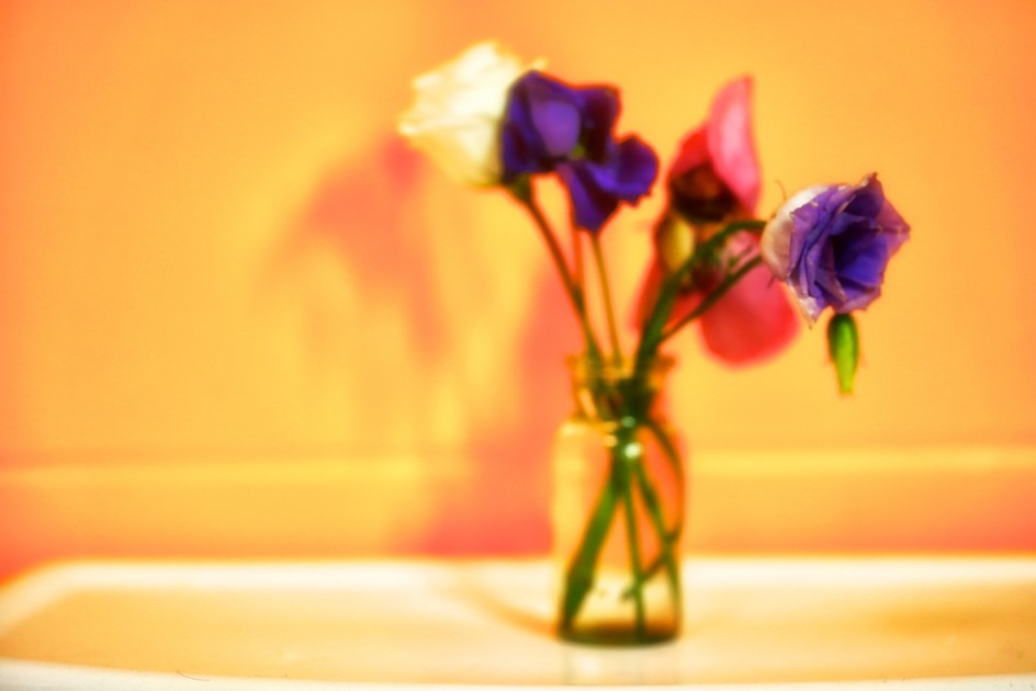 Bathroom Flowers