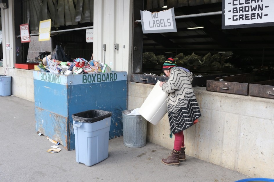 Artist At The Dump