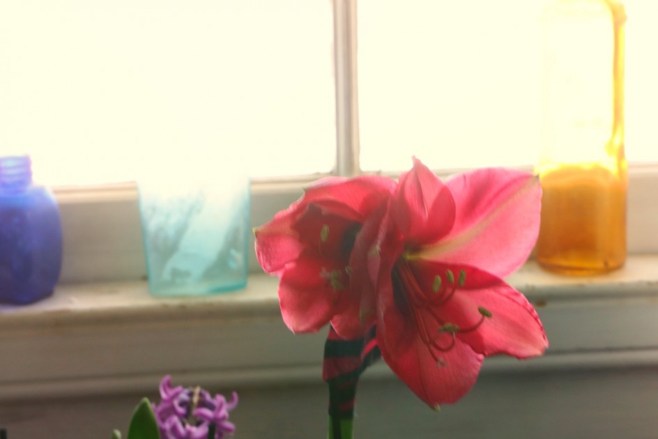 Still Life: The Windowsill Gallery