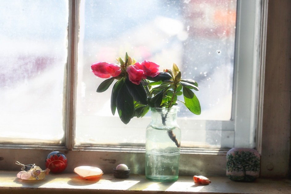 Bedroom In Sun