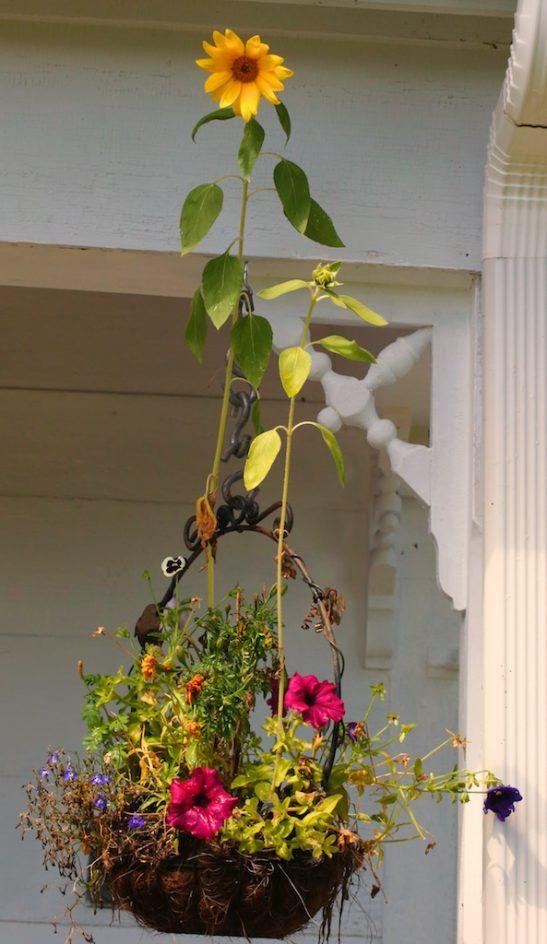 Goddess Of Gardening