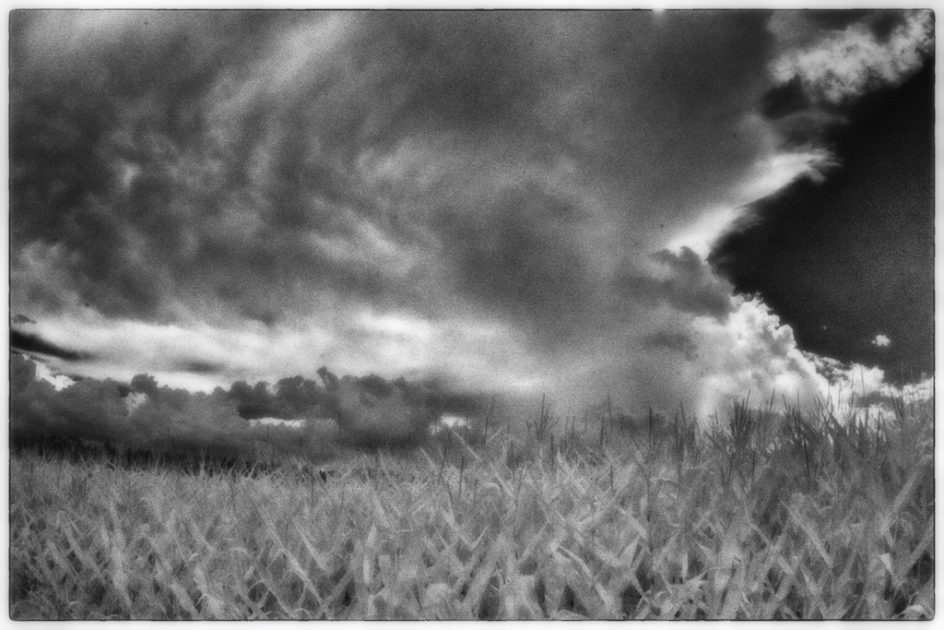 Thunderhead Over The Corn Field
