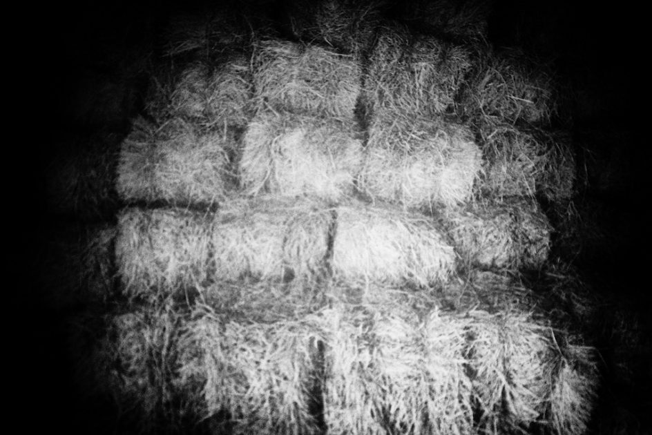 Pinhole Photo: Hay In Barn