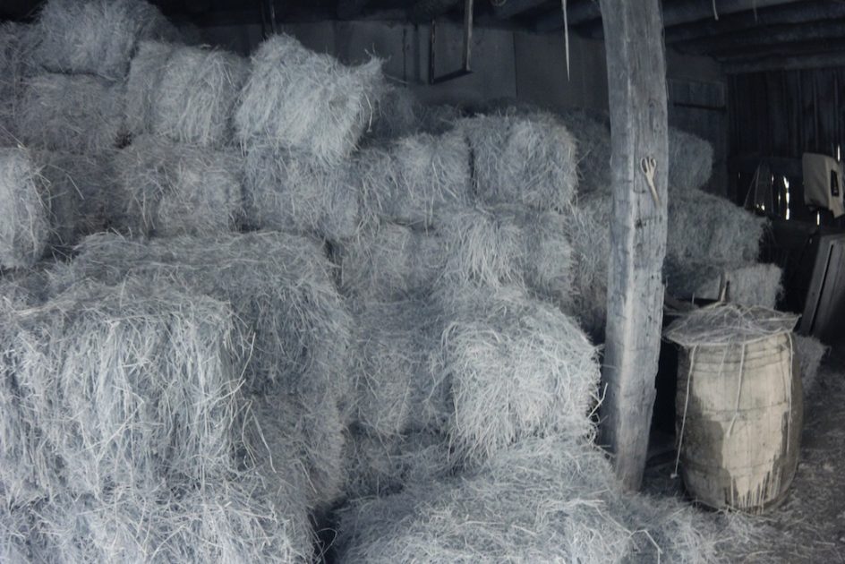 Barn Full Of Good Hay