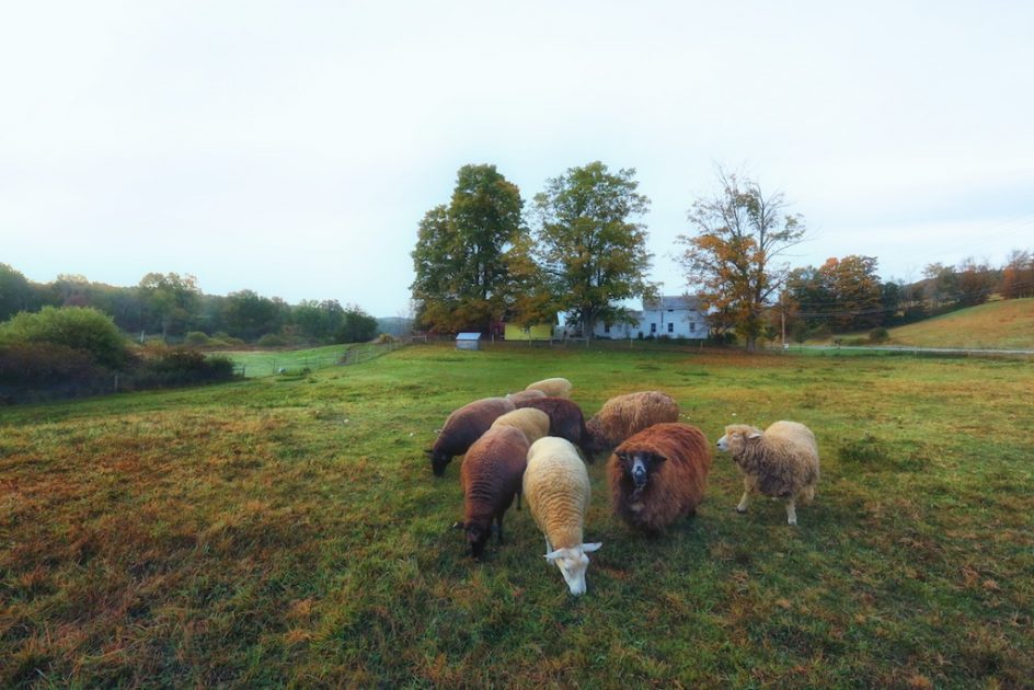 New Day For The Gang Of Four