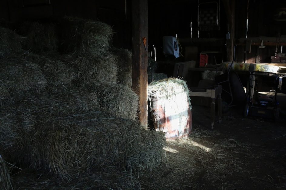 The Ghost In The Barn