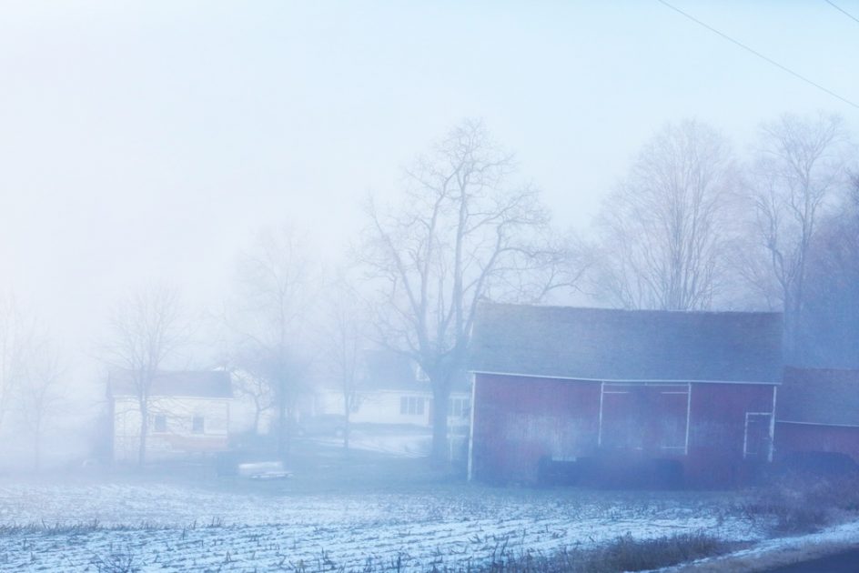 Morning Fog, Shushan Farm