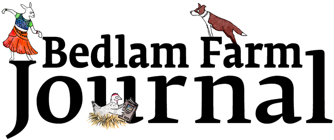 Essay: Deconstructing The World Of Animal Rescue - Bedlam Farm Essay: Deconstructing The World Of Animal Rescue - Bedlam Farm