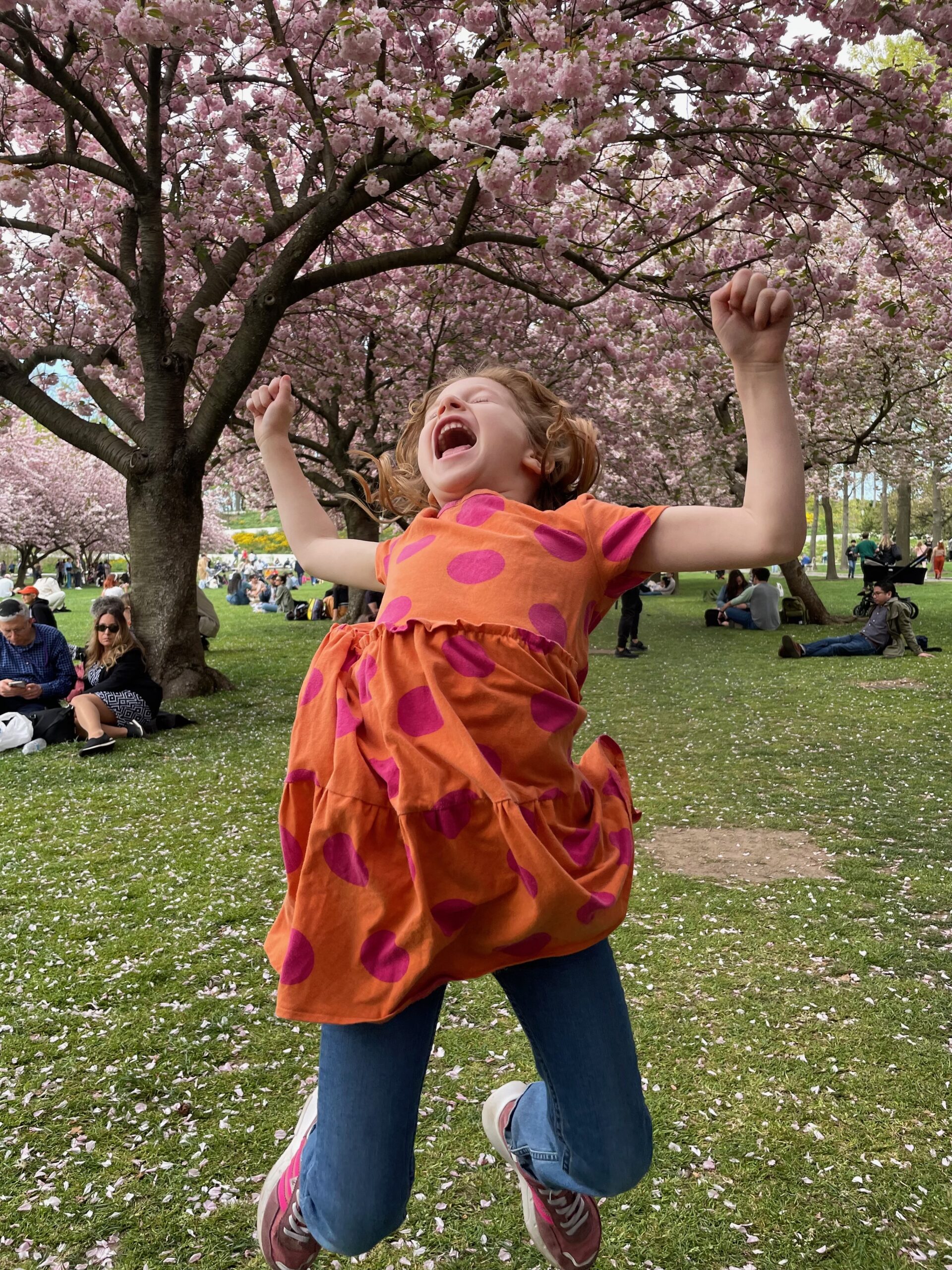 Joy Friend Robi Joy! Robin At The Botanical Garden - Bedlam Farm