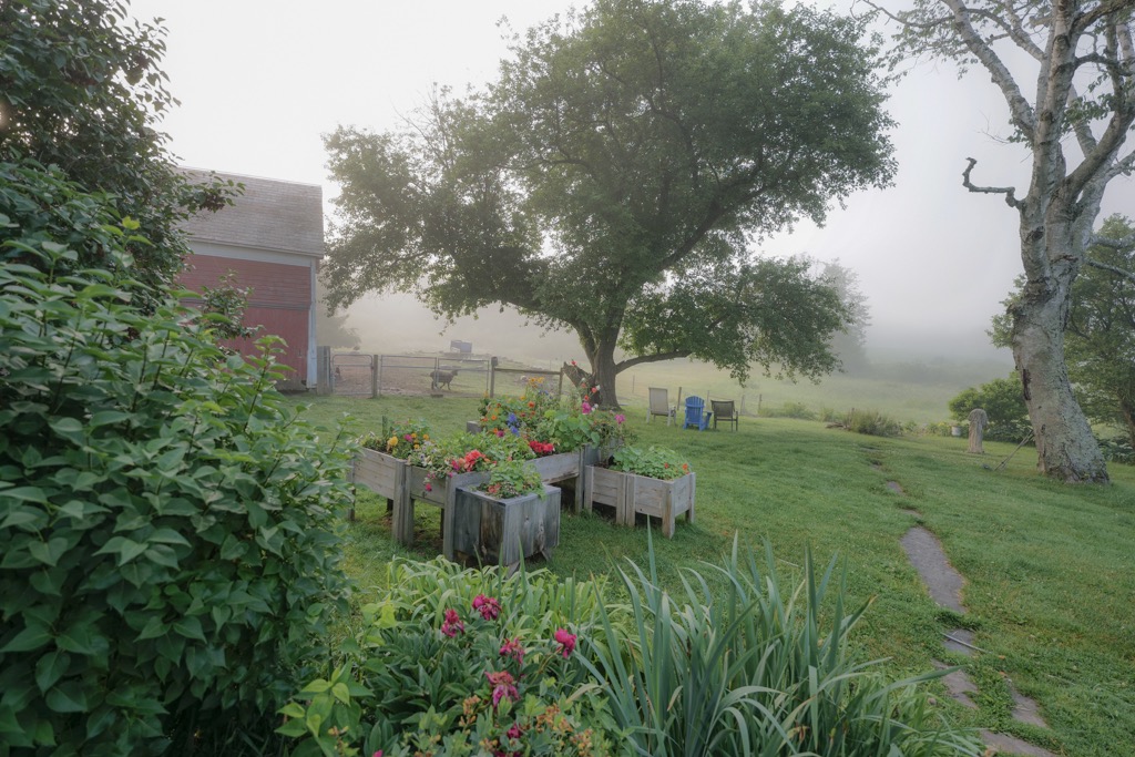 Morning in the misty glade stock image. Image of outdoor - 186990373