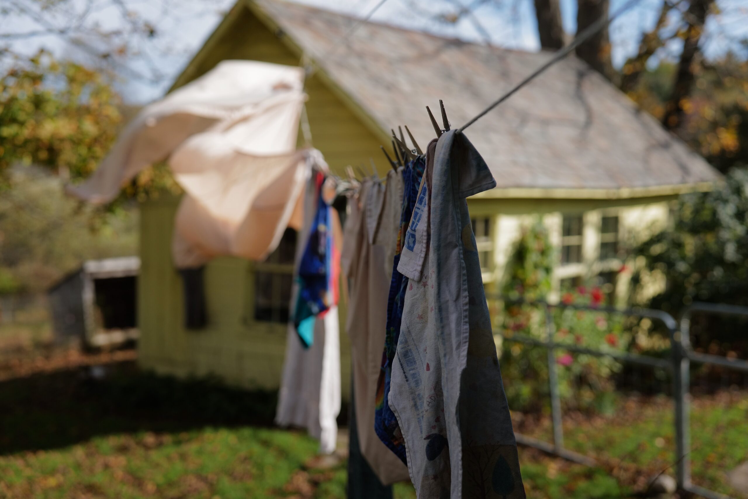 Hail The Humble Clothesline. One Of My Favorite Weekly Photographs - Bedlam  Farm